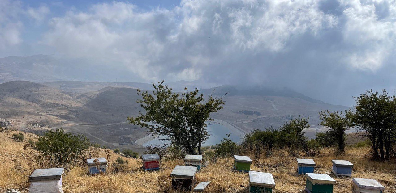 699d0dd2 08cf 4e78 81b8 A89b1f909bca