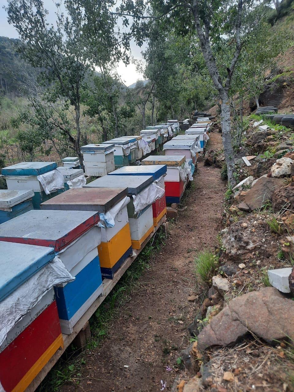 Aa804f8c 2702 46f4 Bda7 2aaa109a580d