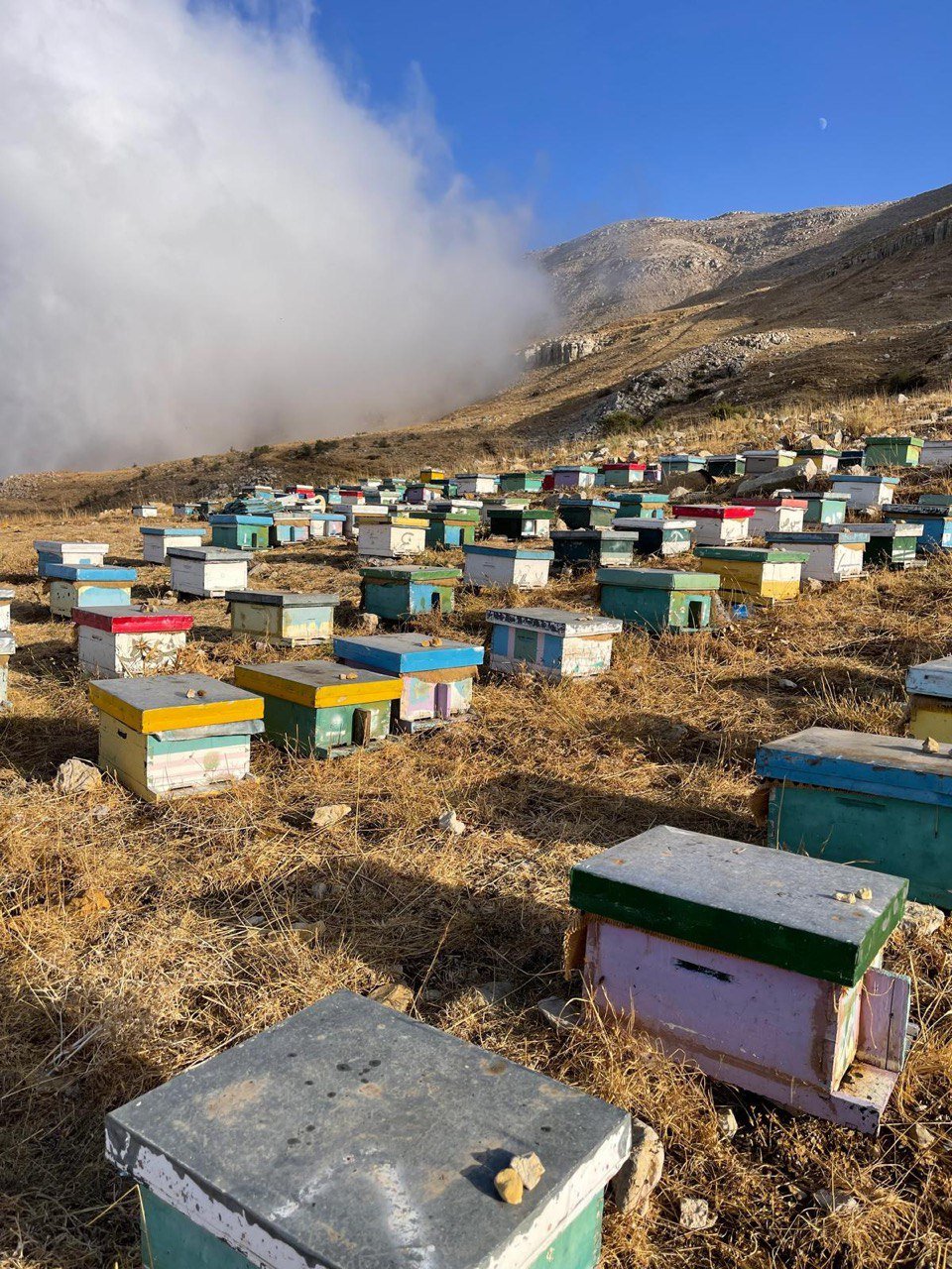 F5831409 33c5 4a68 A68e Eb07ecb75b8f